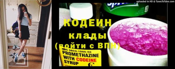 ПСИЛОЦИБИНОВЫЕ ГРИБЫ Арсеньев