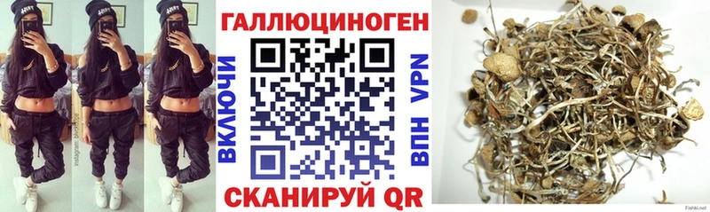 Псилоцибиновые грибы ЛСД  Купить  Покров 